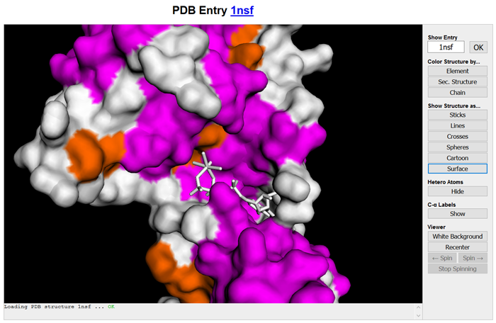 Screenshot of PDB web viewer